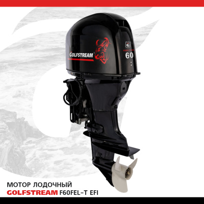 Мотор лодочный GOLFSTREAM F60FEL-T-EFI