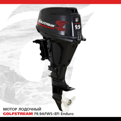 Мотор лодочный GOLFSTREAM F9.9AFWS Enduro (карбюратор)