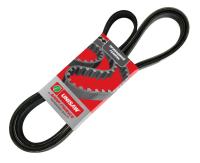 ремень SPRB-021143